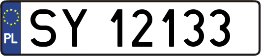 SY12133