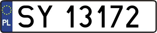SY13172