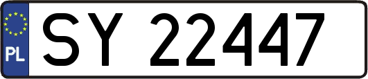 SY22447