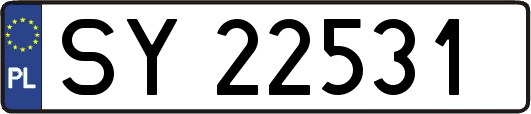 SY22531