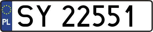 SY22551