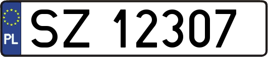 SZ12307