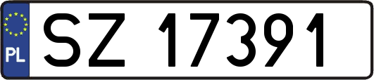 SZ17391
