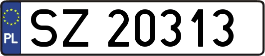 SZ20313