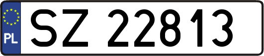 SZ22813