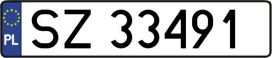 SZ33491