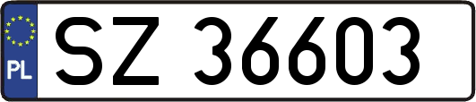 SZ36603
