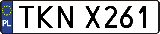 TKNX261