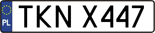 TKNX447