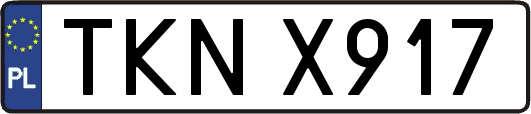 TKNX917