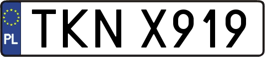 TKNX919