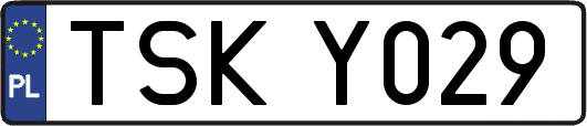 TSKY029