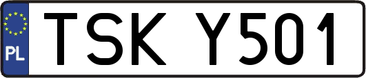 TSKY501