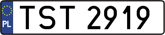TST2919