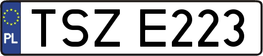 TSZE223