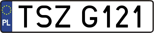 TSZG121