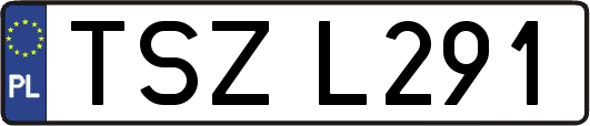 TSZL291
