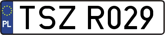 TSZR029