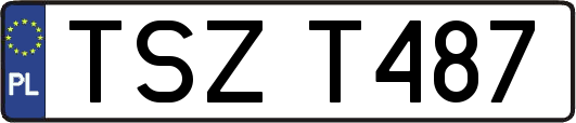 TSZT487