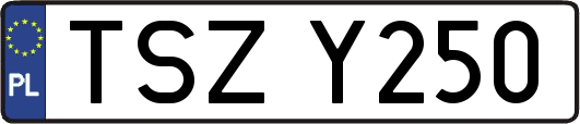 TSZY250
