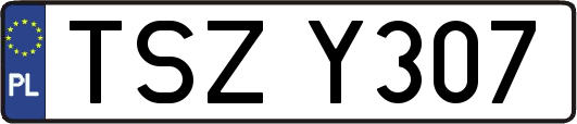 TSZY307
