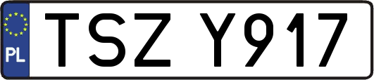 TSZY917