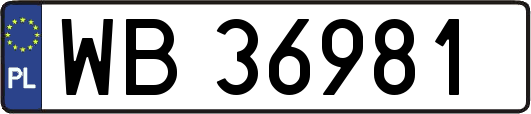 WB36981