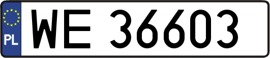 WE36603