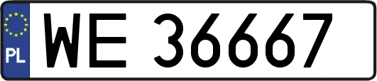 WE36667