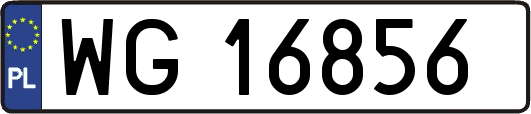 WG16856