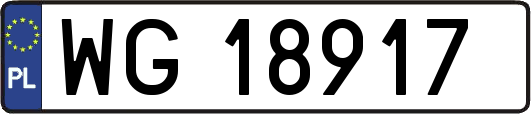 WG18917
