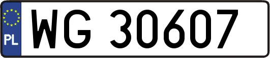 WG30607