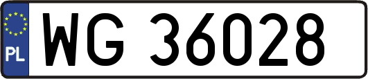 WG36028