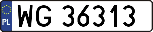 WG36313