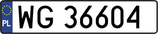 WG36604