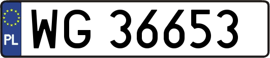 WG36653