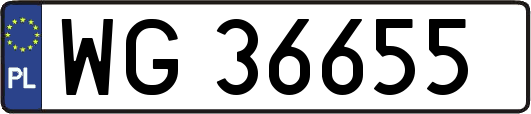 WG36655