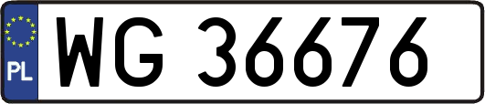 WG36676