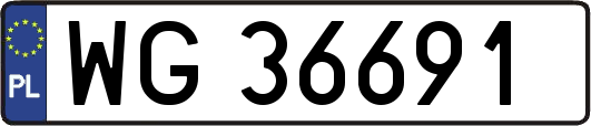 WG36691