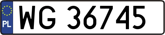 WG36745