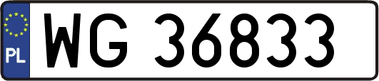 WG36833