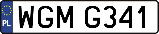 WGMG341