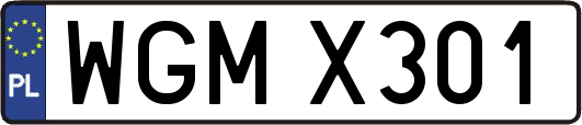 WGMX301