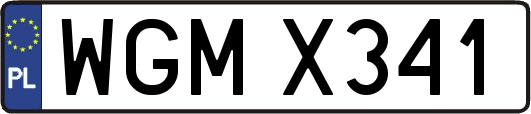 WGMX341