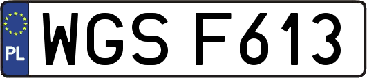 WGSF613