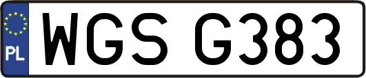 WGSG383