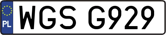 WGSG929