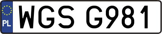 WGSG981