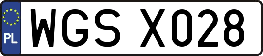 WGSX028