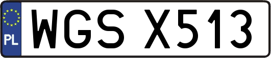 WGSX513